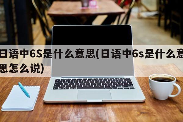 日语中6S是什么意思(日语中6s是什么意思怎么说)